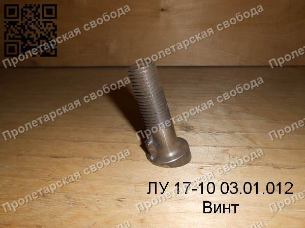 ЛУ 17-10 03.01.012 Винт ЛУ 17-10 03.01.012 Винт